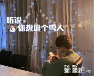 《听说你想堆个雪人》剧本杀复盘故事简介凶手是谁_真相解析剧透-吾爱剧本杀