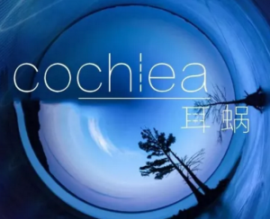 《耳蜗》剧本杀凶手线索解析_任务答案故事复盘剧透