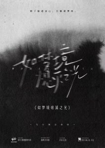 《如梦境熄灭之光》剧本杀复盘：故事还原解析，凶手是谁？真相揭晓！