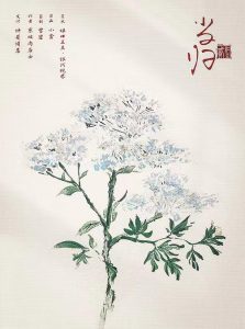 《红豆2·月光》剧本杀复盘：揭秘真相与凶手身份疑点解析