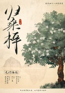 《归桑梓》剧本杀复盘：破解谜团，分析角色关系与线索串联技巧揭秘