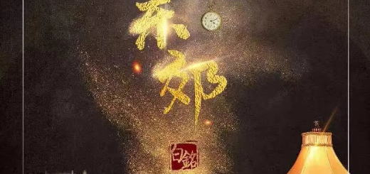 《夜惊东郊》剧本杀故事复盘_真相答案解析_凶手剧透
