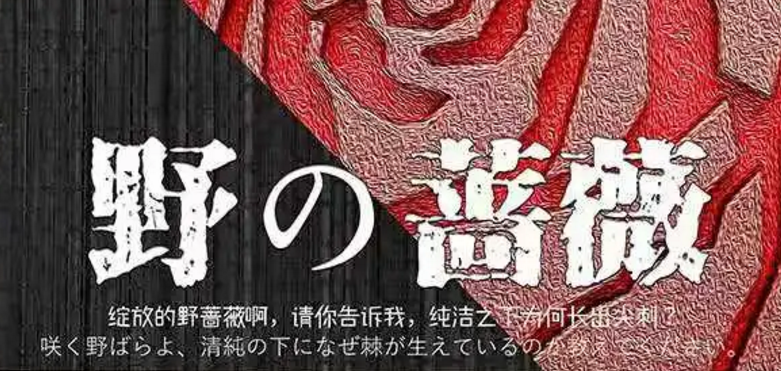 《野の蔷薇》剧本杀复盘攻略凶手剧透真相解析