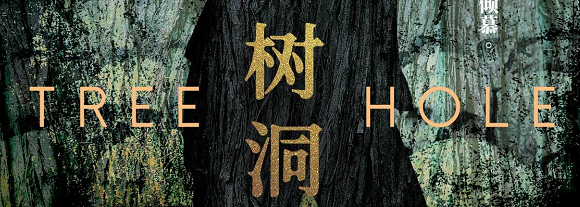 《树洞》剧本杀复盘凶手解析测评剧透玩本攻略
