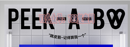 《捉·谜·藏》剧本杀复盘测评解析凶手是谁故事还原