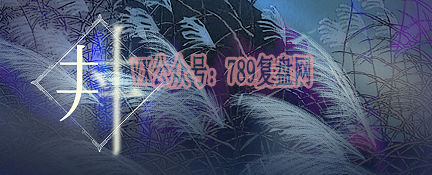 《丼》剧本杀复盘剧情解析凶手是谁_机制流程玩法剧透