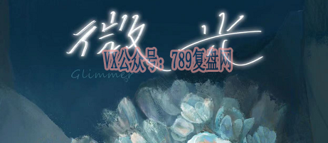 《微光》剧本杀复盘答案密码案件还原解析_凶手是谁真相结局