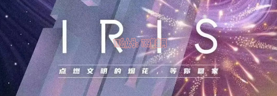 《IRIS》剧本杀复盘剧情解析简介_凶手是谁玩本技巧