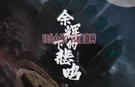 《余辉下的悲鸣》剧本杀复盘线索攻略揭秘_凶手是谁答案密码
