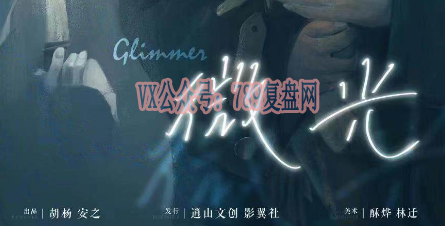 《微光》剧本杀复盘真相结局_凶手是谁玩本技巧解析