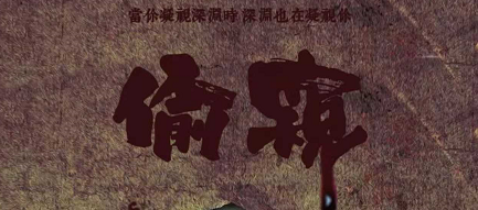 《偷窥》剧本杀复盘答案密码揭秘_凶手是谁真相结局测评